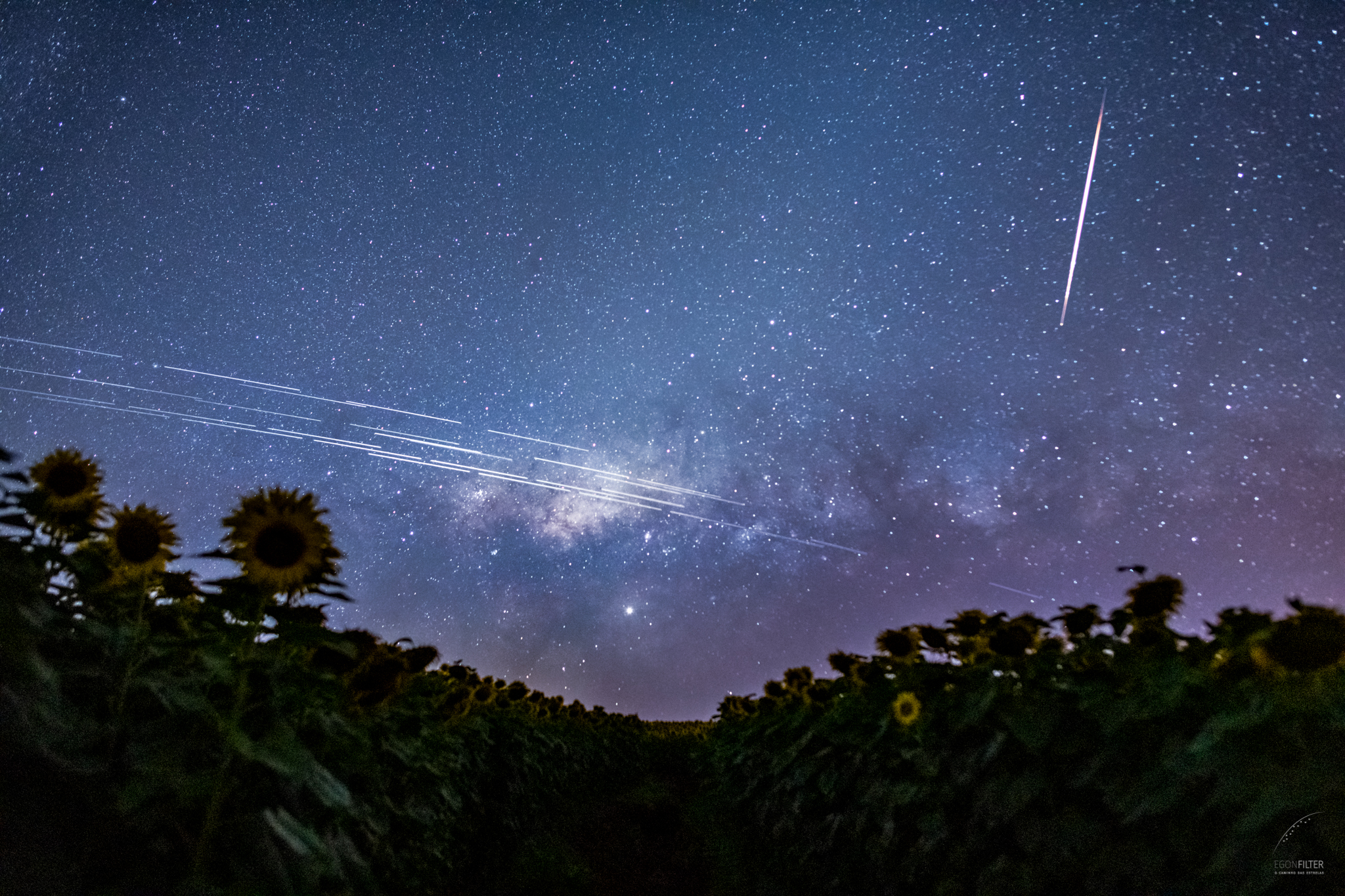 New NGSO Trade Association Launches Without SpaceX