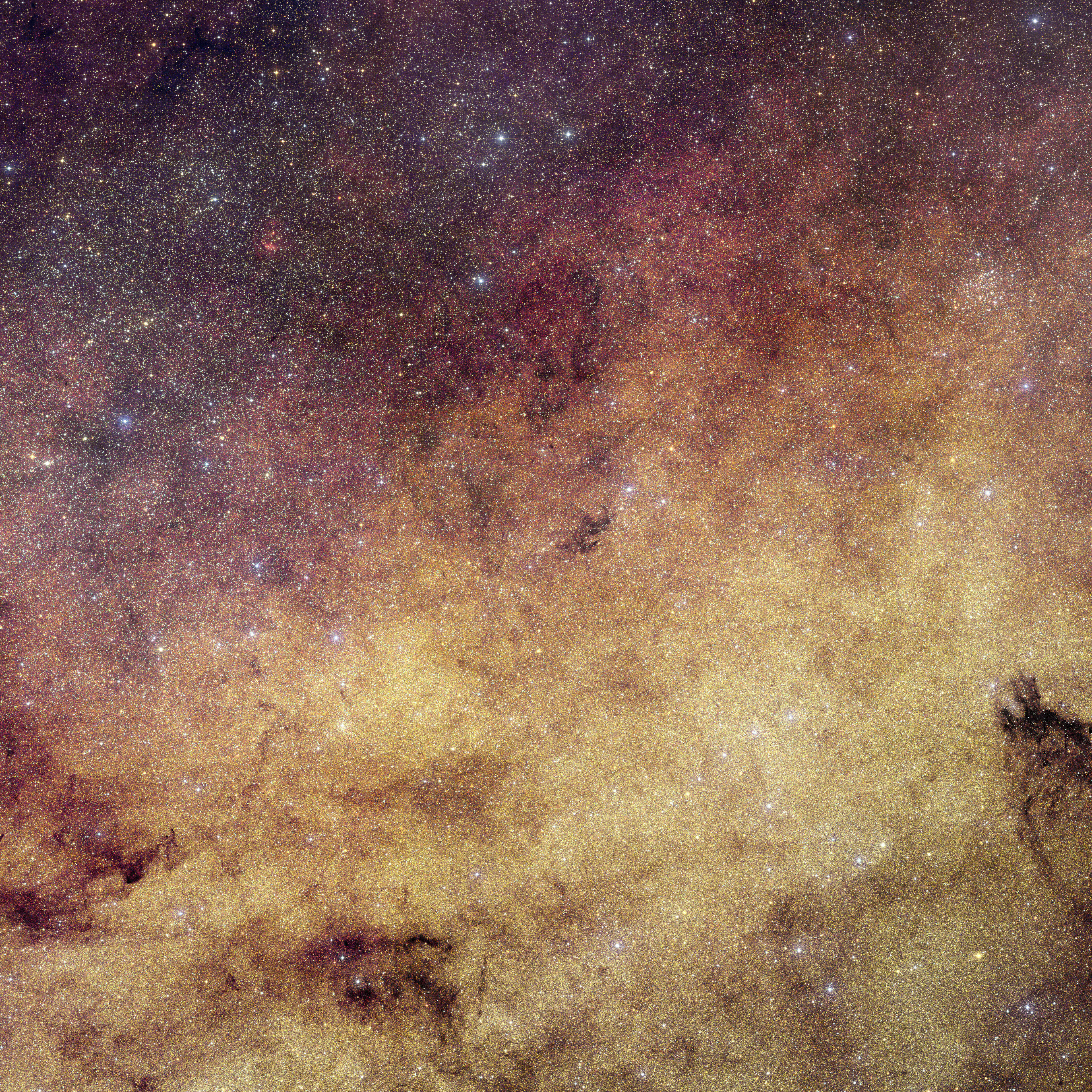 Euclid's Glimpse into the Milky Way's Heart Sets Stage for Roman Telescope's Core Survey