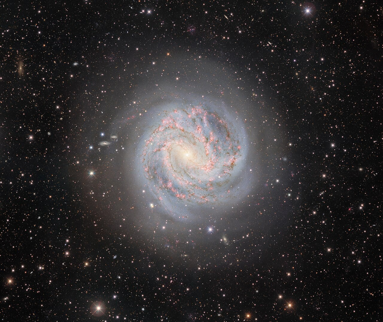 The Unquiet Afterlife of Stars in Messier 83