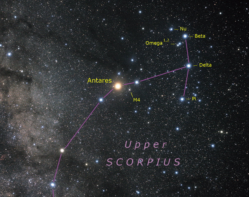 Celestial Delights: Venus, Scorpius, and the Milky Way in July's Night Sky