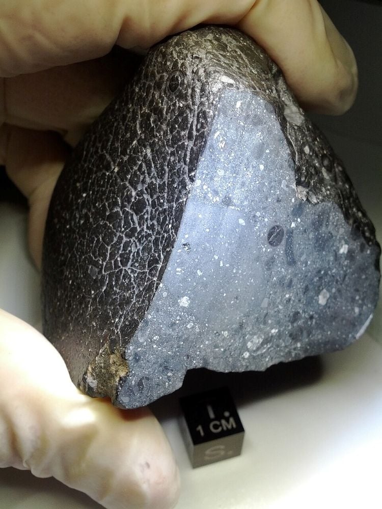 'Black Beauty' Meteorite NWA 7034 Points to a Wet Early Mars