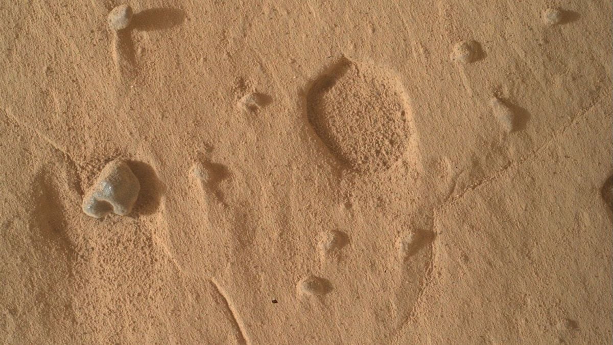 NASA Curiosity Photographs Unusual Tiny Holes in Gale Crater’s Mount Sharp